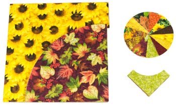Drunkards Path Kit - Autumn Flourish - Image 2